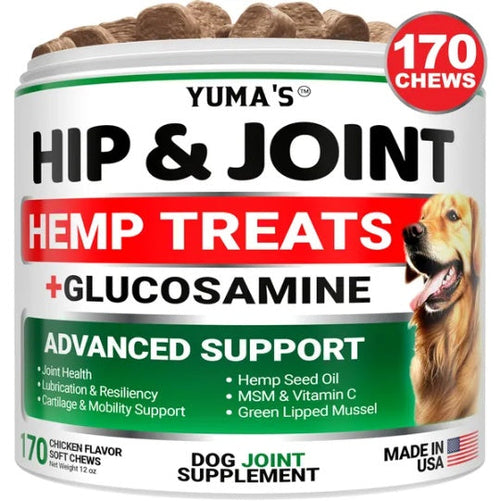Hemp Hip & Joint Chews for Senior Dogs | Glucosamine + Chondroitin + MSM | 170 Soft Chews Made in USA