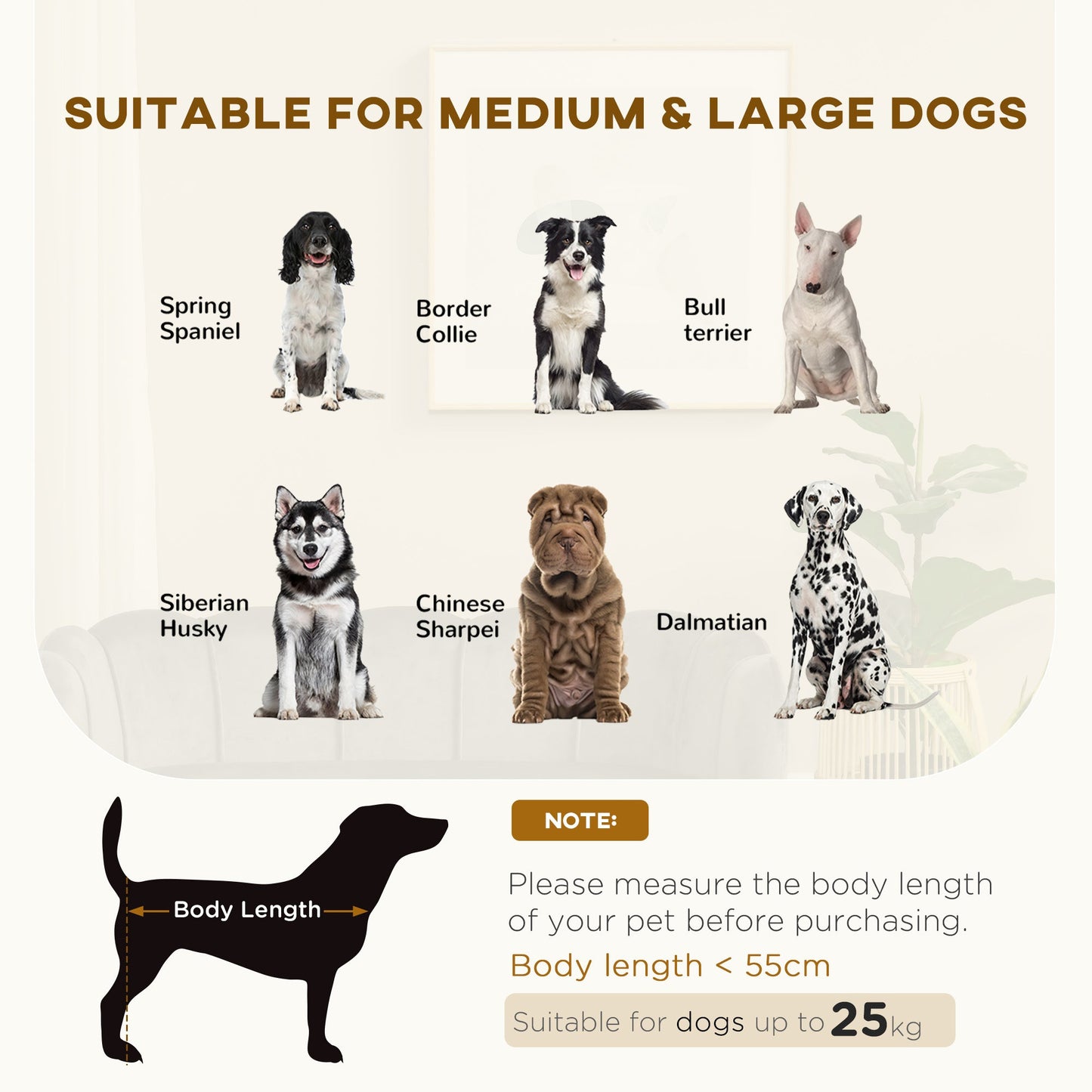 Luxury Pearl Design Dog Sofa Bed | Orthopedic Support for Senior & Large Dogs | Premium Velvet Pet Couch