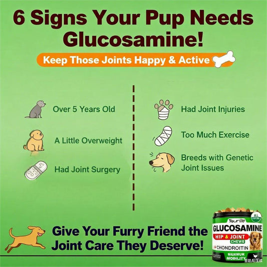 Maximum Strength Hip & Joint Chews for Dogs | Glucosamine + Chondroitin | 120 All-Natural Soft Chews