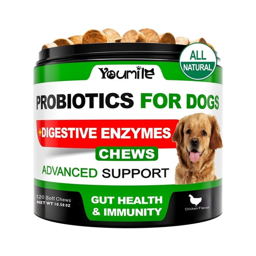 Maximum Strength Hip & Joint Chews for Dogs | Glucosamine + Chondroitin | 120 All-Natural Soft Chews