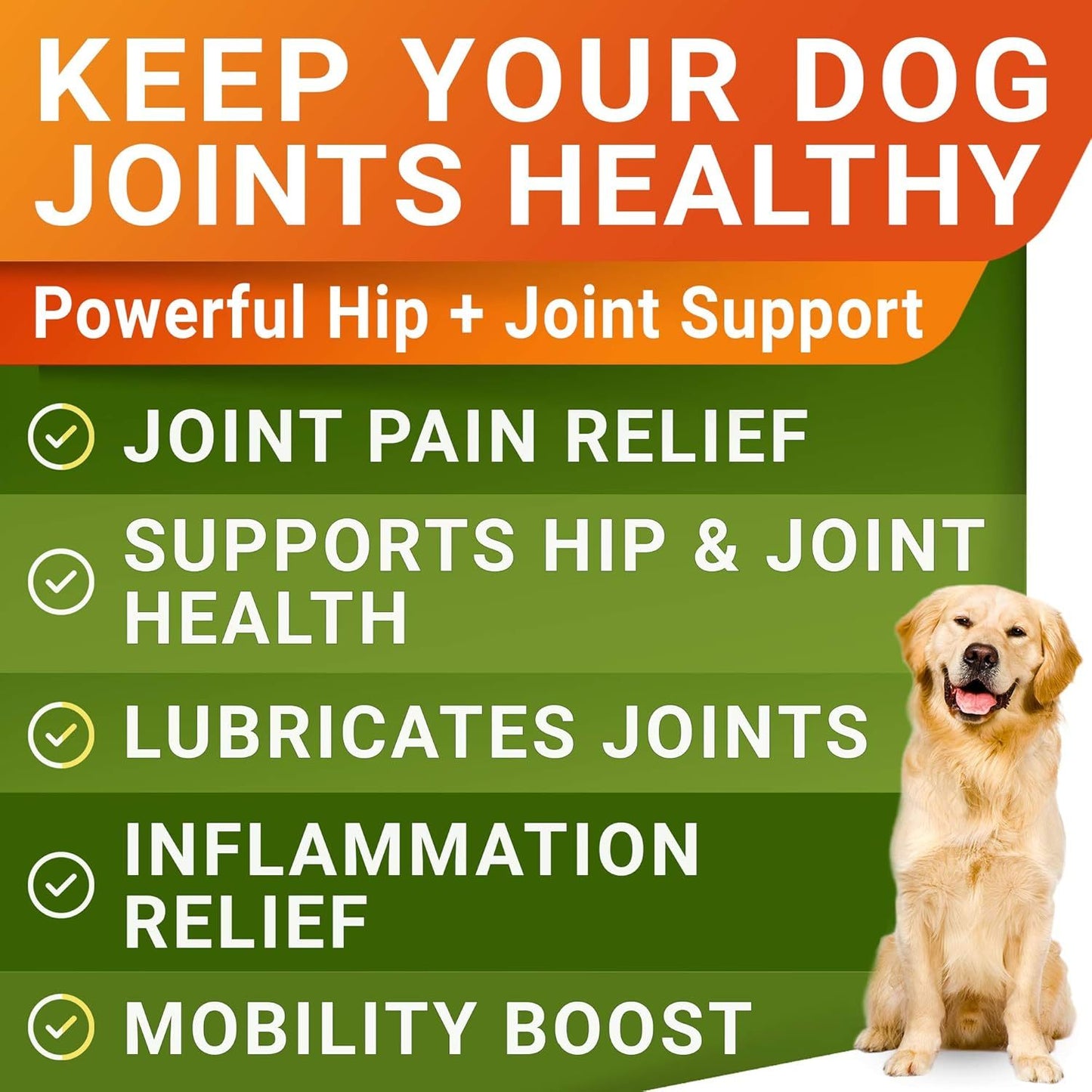 Maximum Strength Hip & Joint Chews for Dogs | Glucosamine + Chondroitin | 120 All-Natural Soft Chews