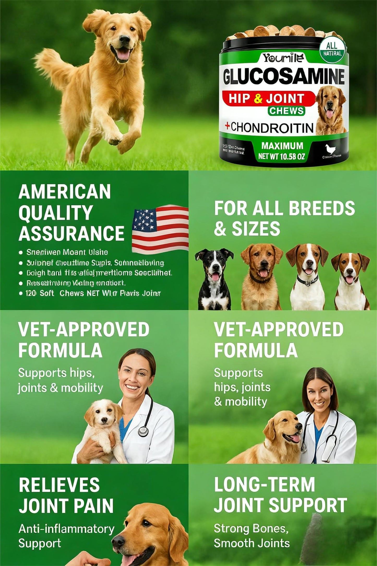 Maximum Strength Hip & Joint Chews for Dogs | Glucosamine + Chondroitin | 120 All-Natural Soft Chews
