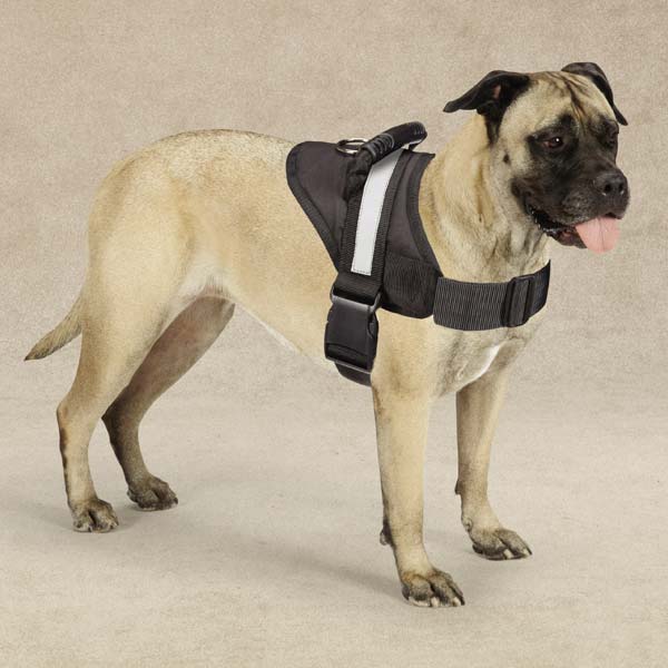 Senior Dog Support Harness | Easy-On No-Pull Walking Harness with Handle | Perfect for Older Dogs