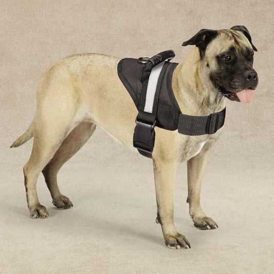 Senior Dog Support Harness | Easy-On No-Pull Walking Harness with Handle | Perfect for Older Dogs
